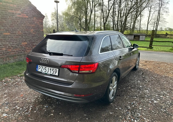Audi A4 cena 75999 przebieg: 167000, rok produkcji 2016 z Warka małe 379